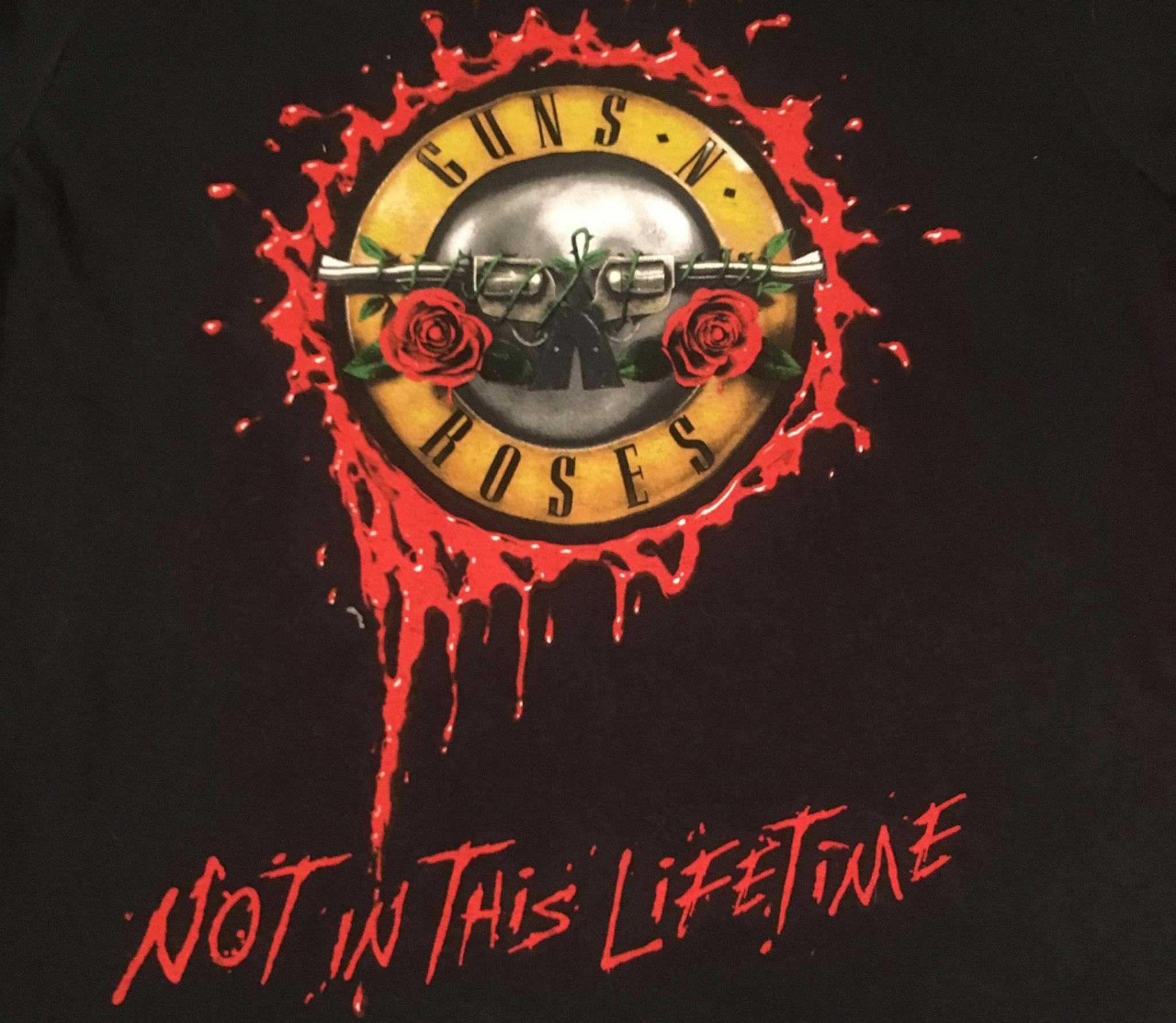 Guns N Roses Not In This Lifetime poster