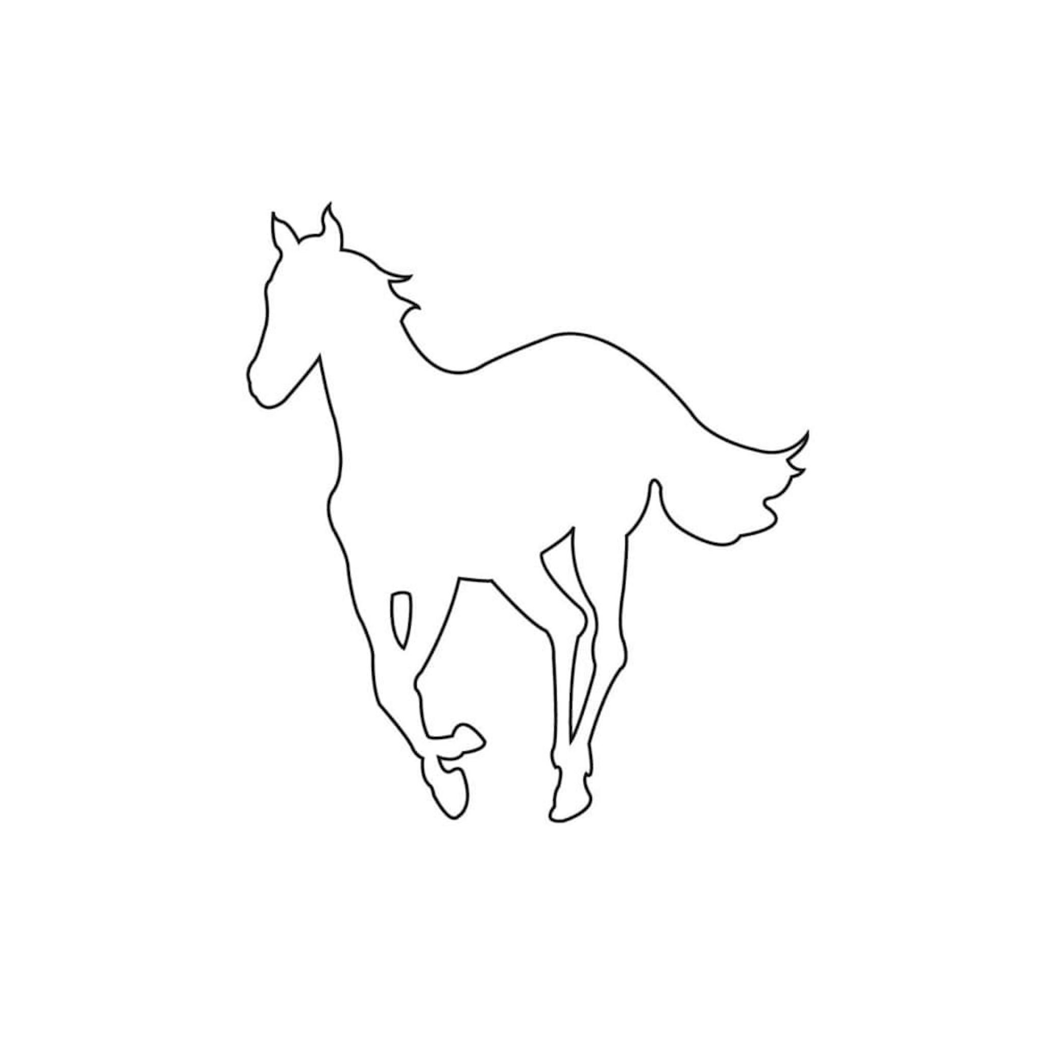 White Ponycover