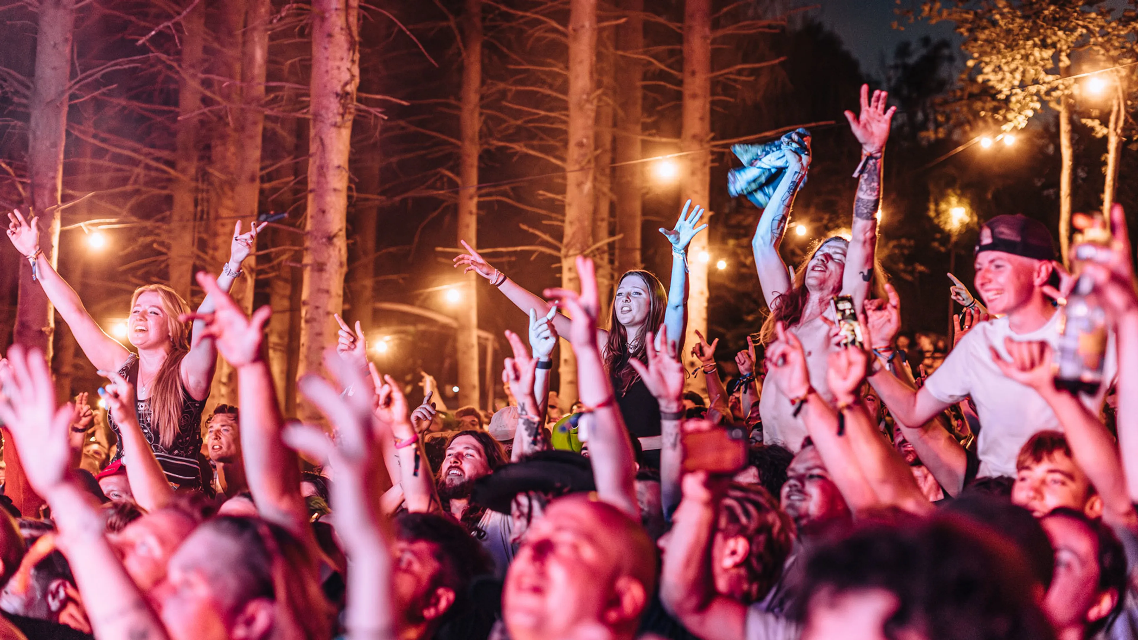 The big review: 2000trees 2025