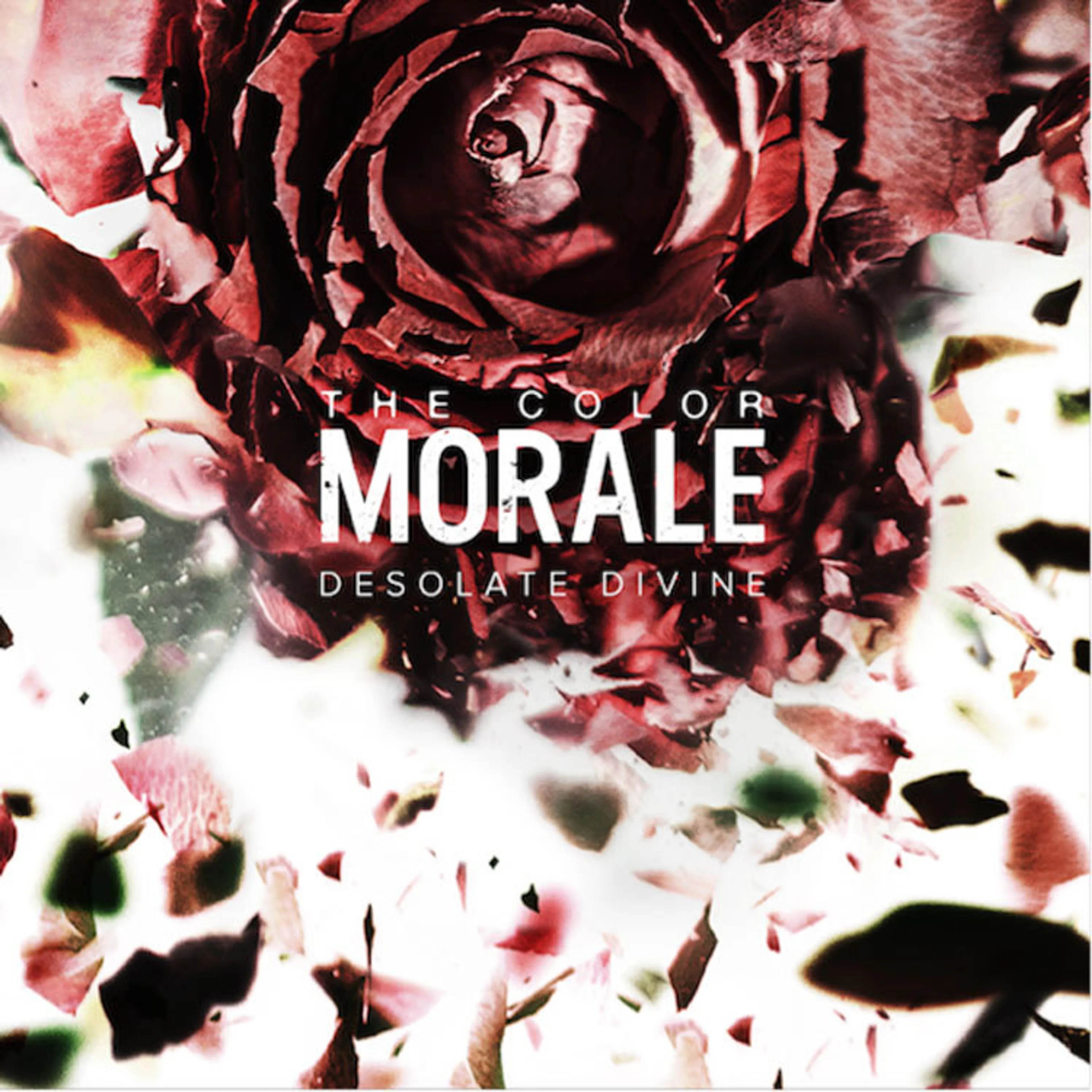The Color Morale Premiere New Video, Walls