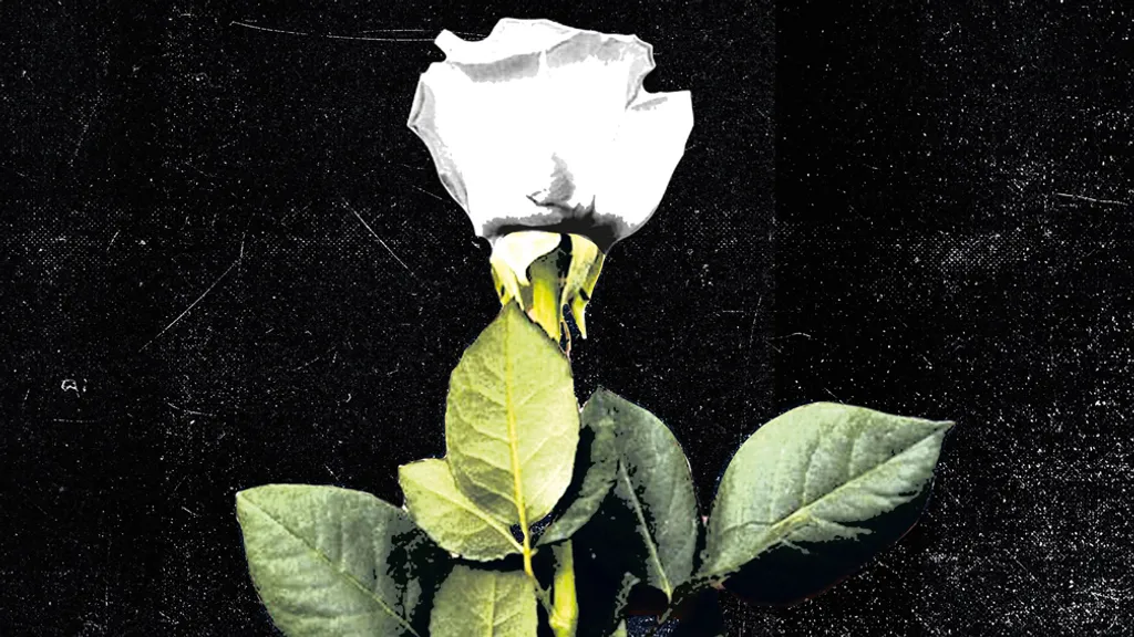 BLACKOUT PROBLEMS WEB SLEEVE