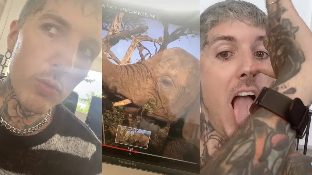Oli Sykes Tik Tok elephants Teardrops