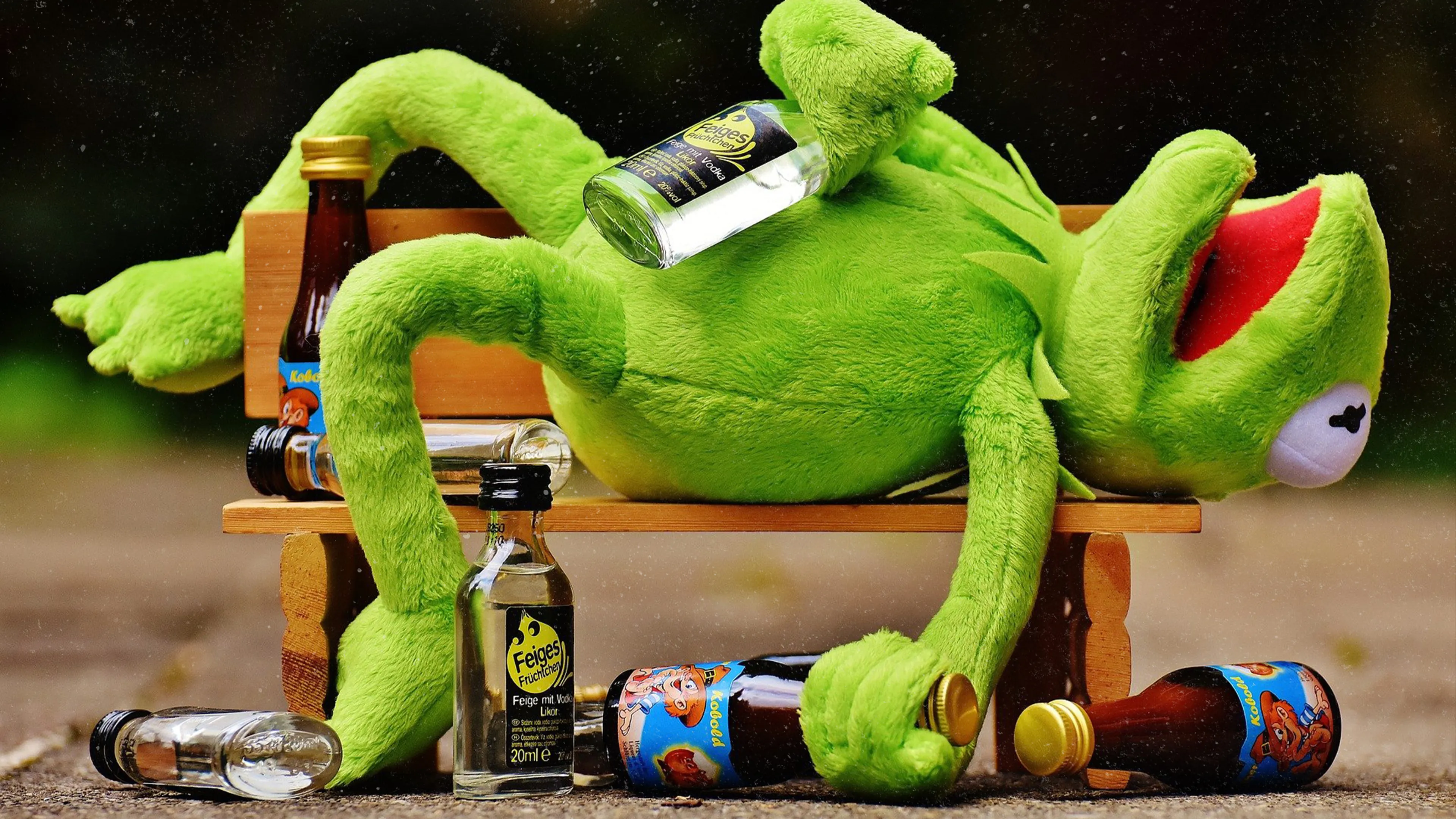 14 essential songs about drinking