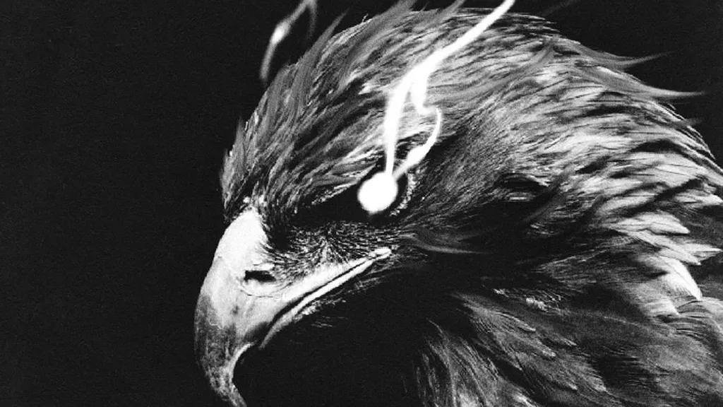 BUCKCHERRY WEB SLEEVE