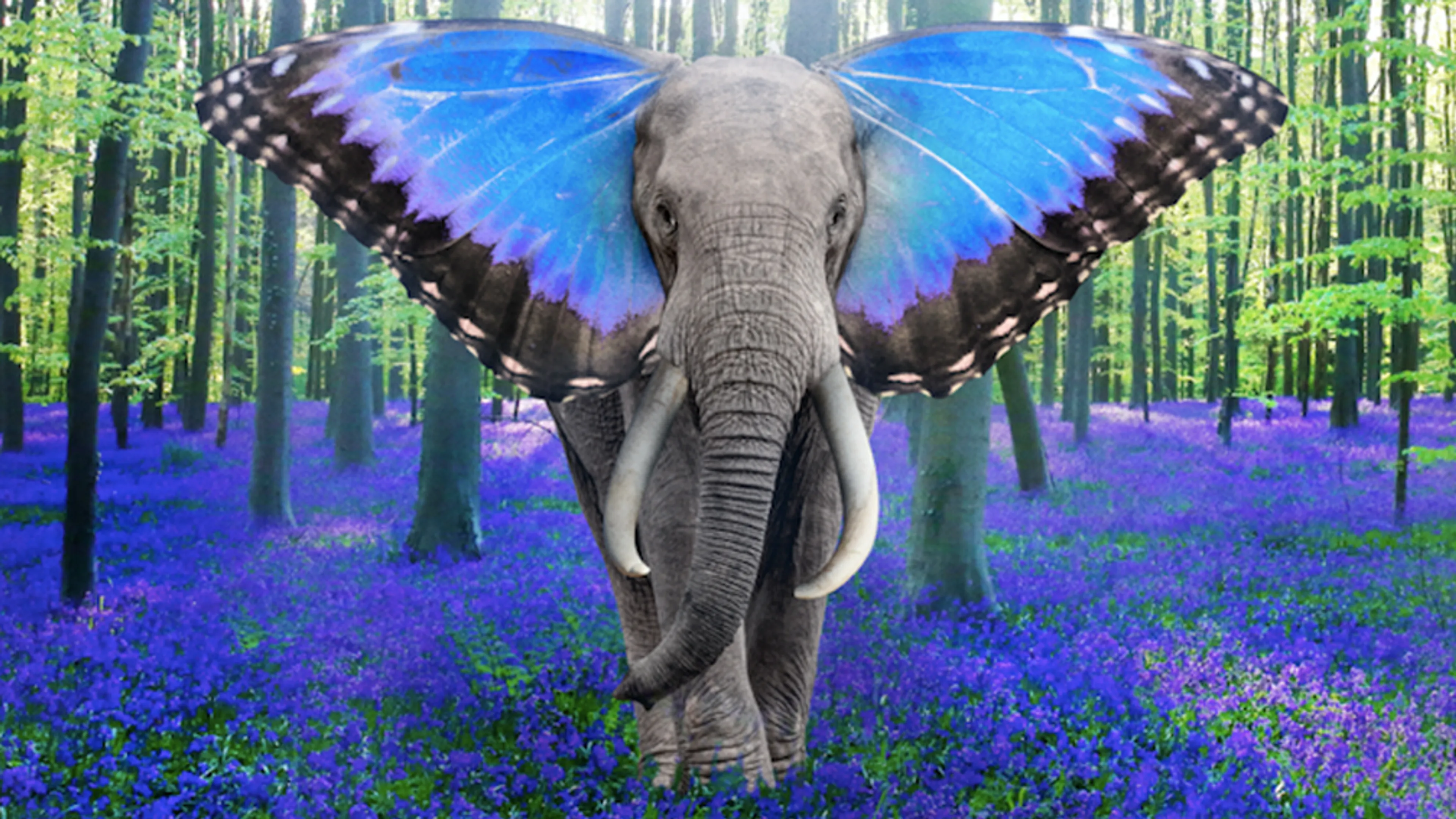 Album review: Tom Morello – The Atlas Underground Flood