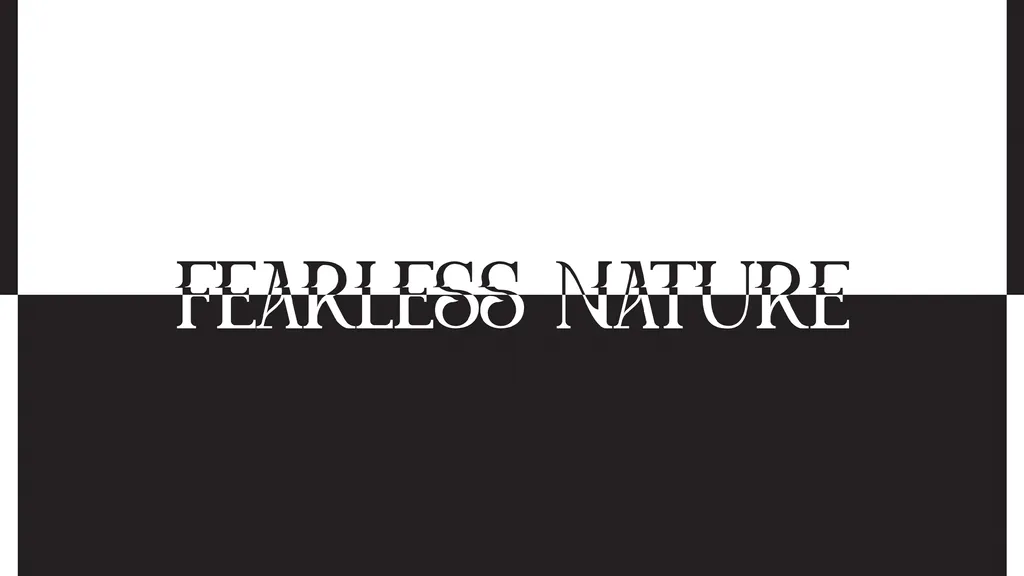 KID KAPICHI FEARLESS NATURE ARTWORK HEADER