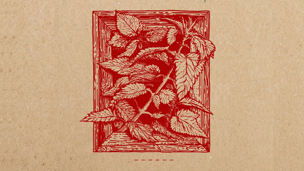 AGVIRRE WEB SLEEVE 2022