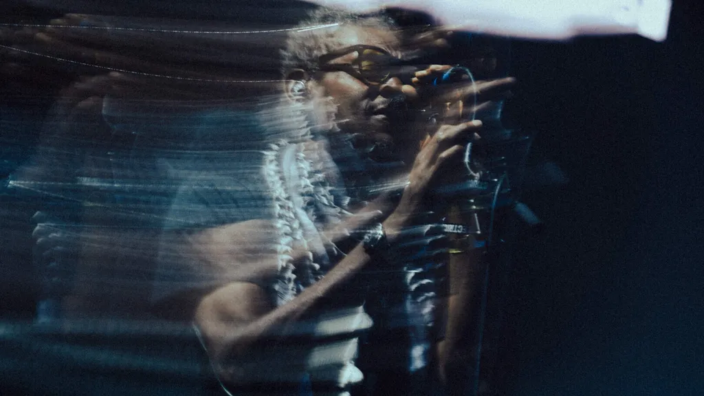 Massive Attack Electric Castle Theodor Tudose 2024