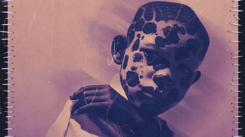 FEVER 333 WEB SLEEVE 2024