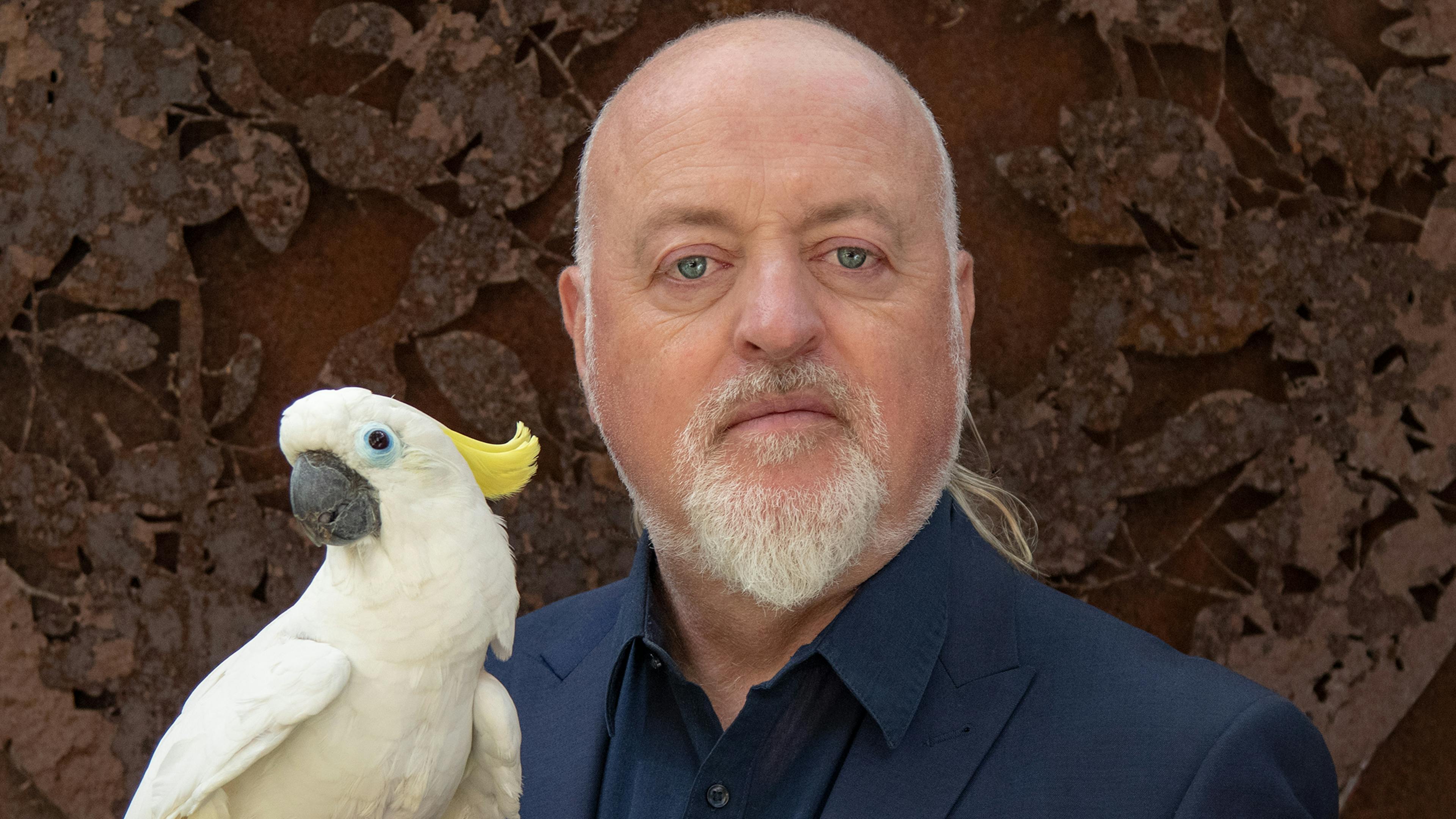 Listen to Bill Bailey on the Kerrang! In Conversation podcast