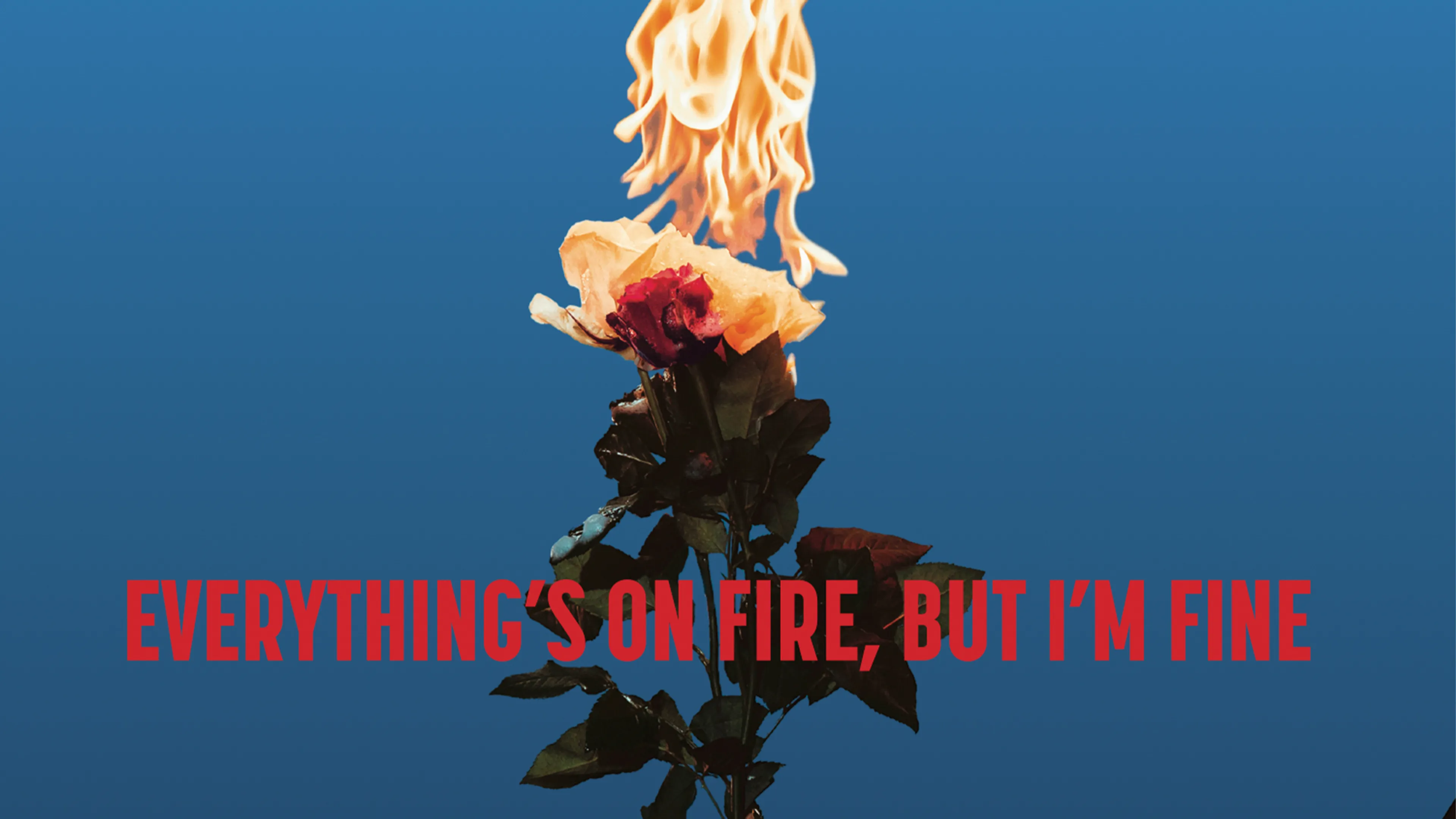 Album review: As December Falls – Everything’s On Fire But I’m Fine