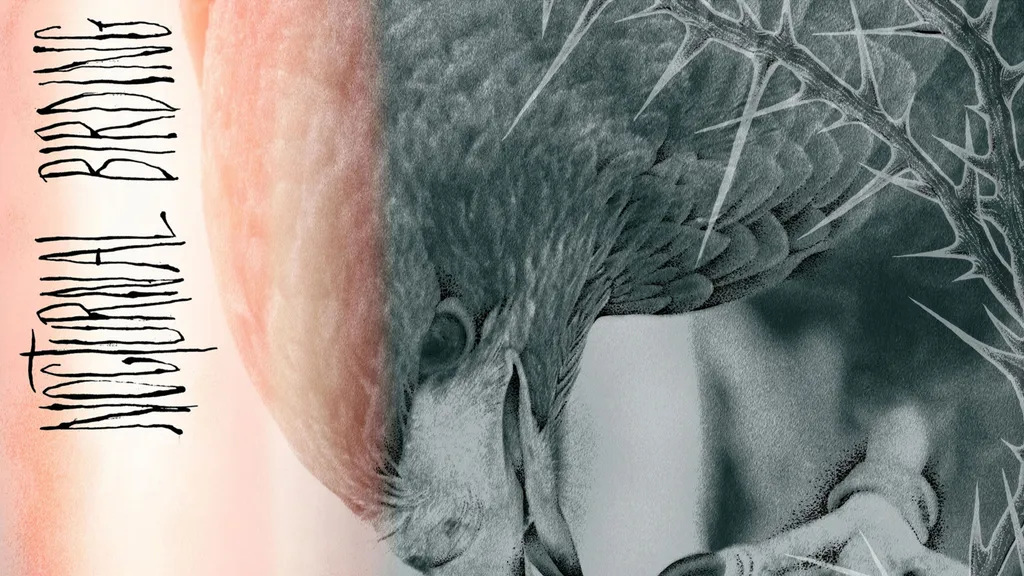 Author and punisher nocturnal birding artwork header