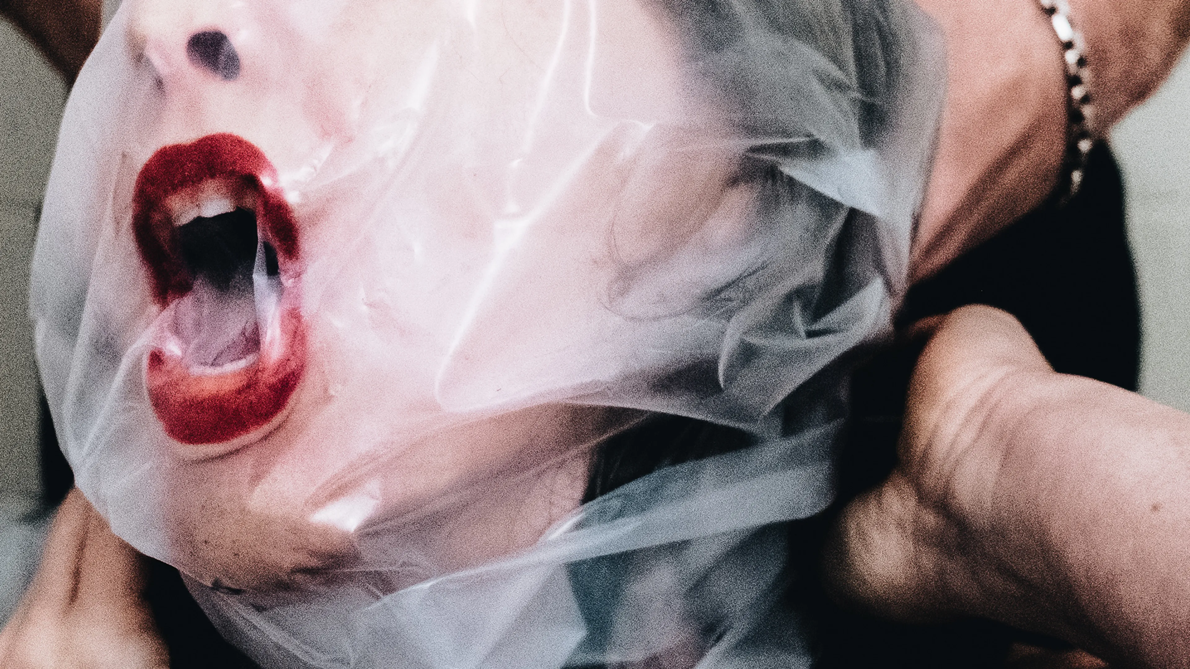 Album review: Dying Wish – Flesh Stays Together