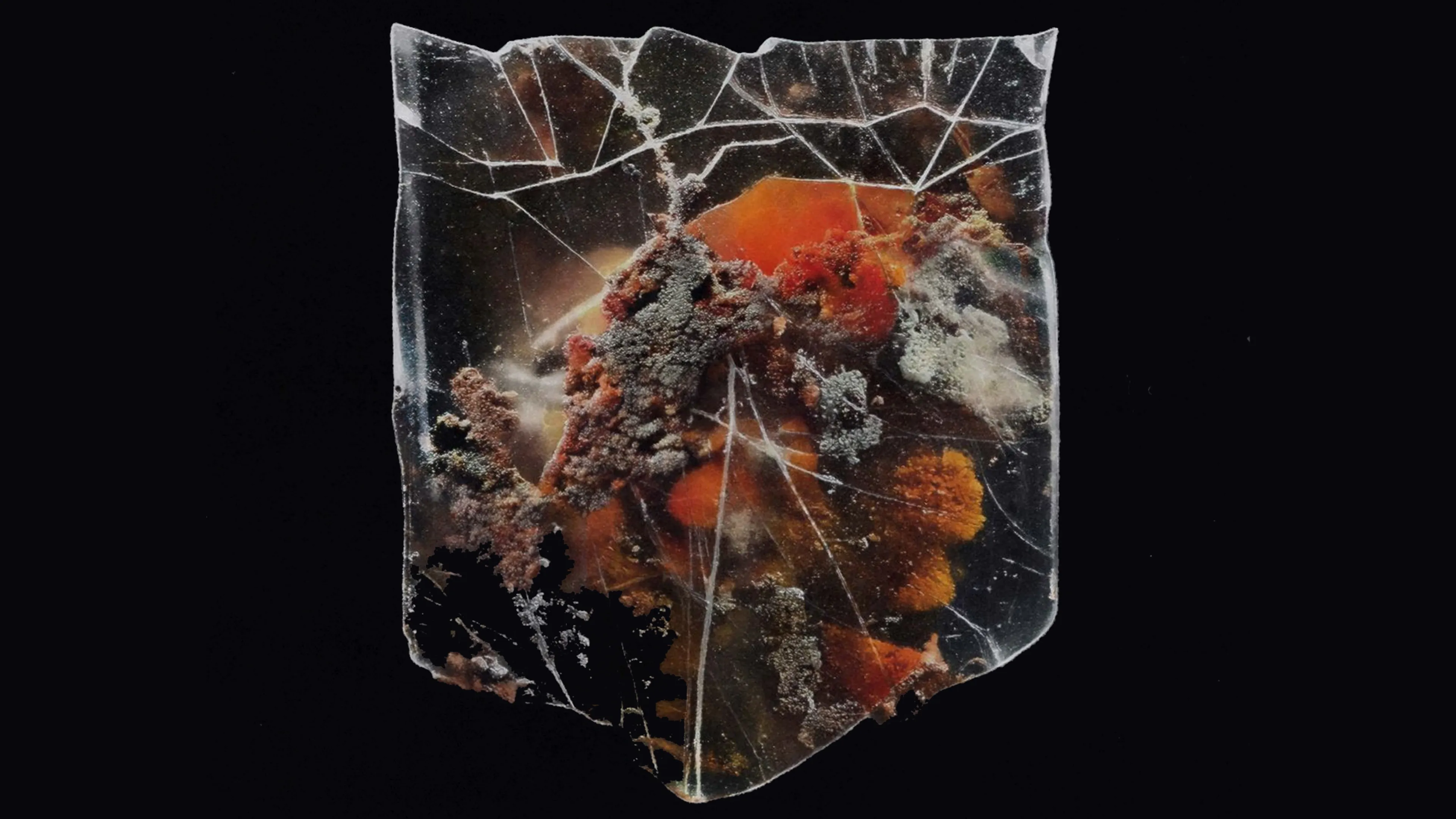 Album review: Shields – Death & Connection