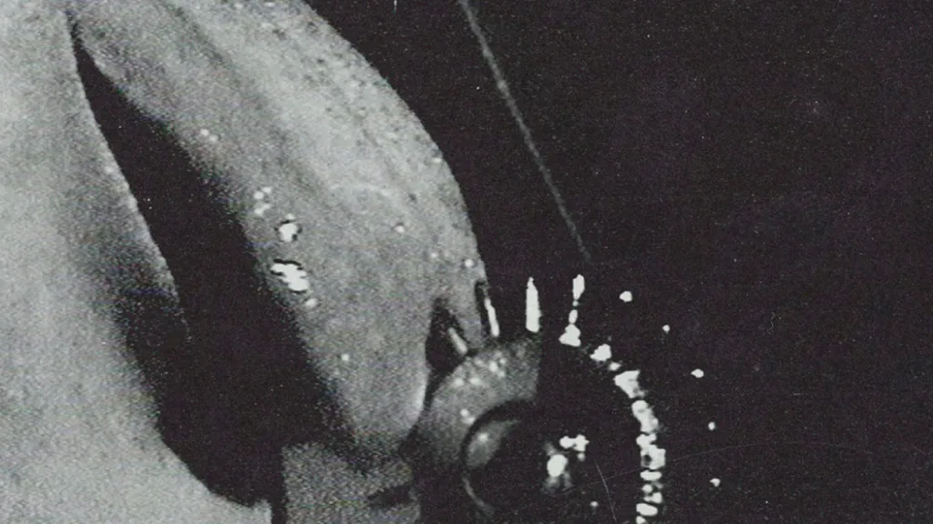 MOODRING DEATH FETISH ARTWORK HEADER