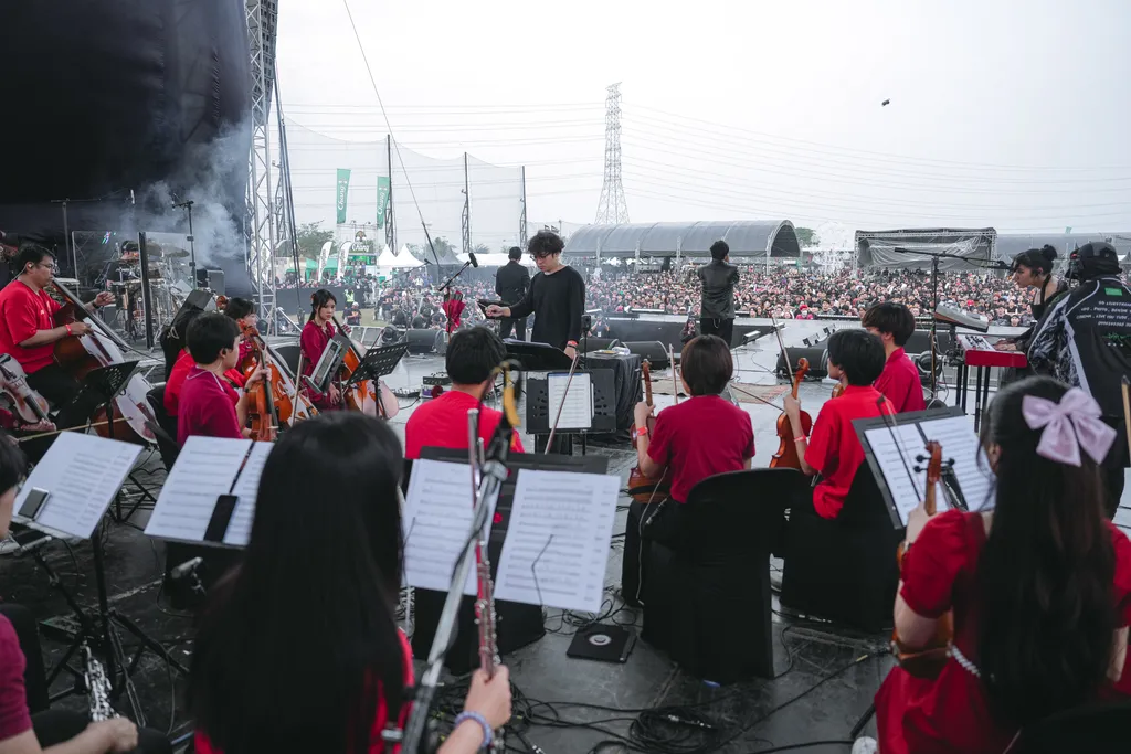 DEFYING DECAY ROCK ALARM 20261