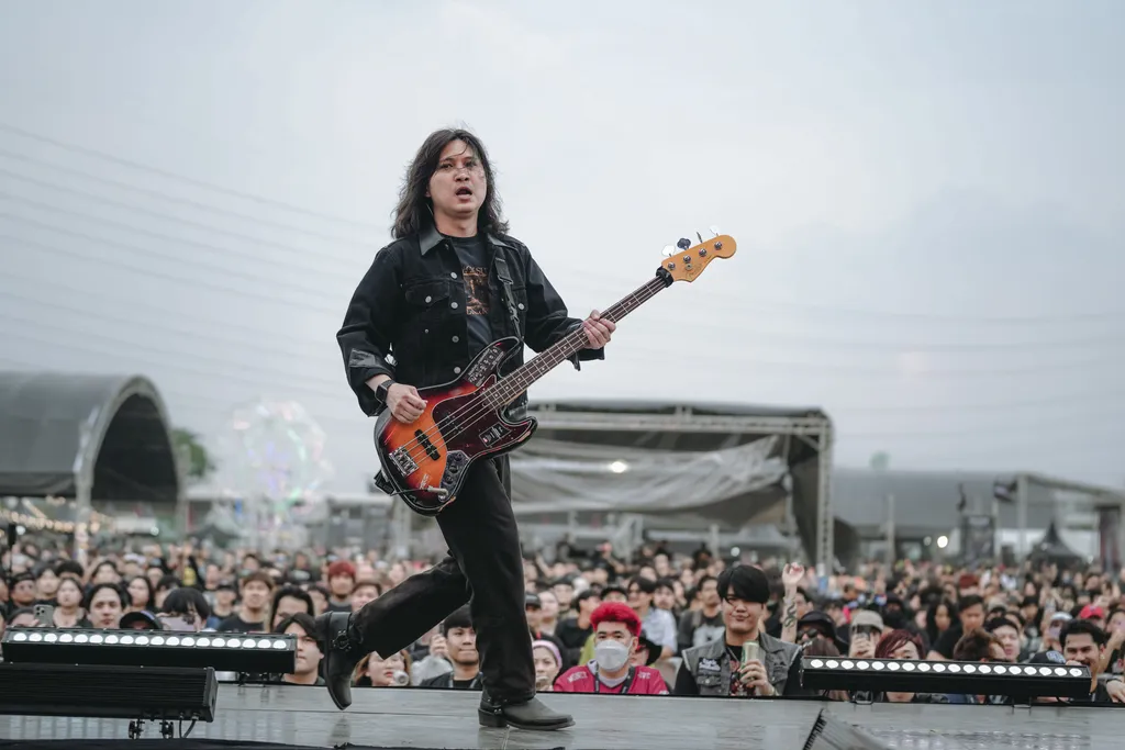 DEFYING DECAY ROCK ALARM 20262