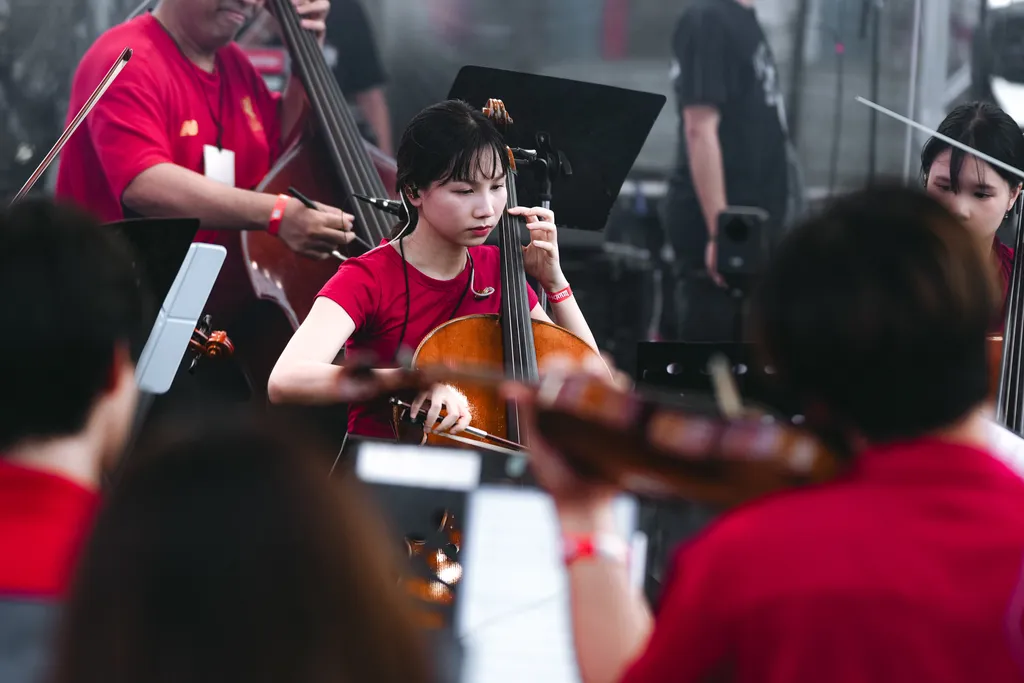 DEFYING DECAY ROCK ALARM 20265