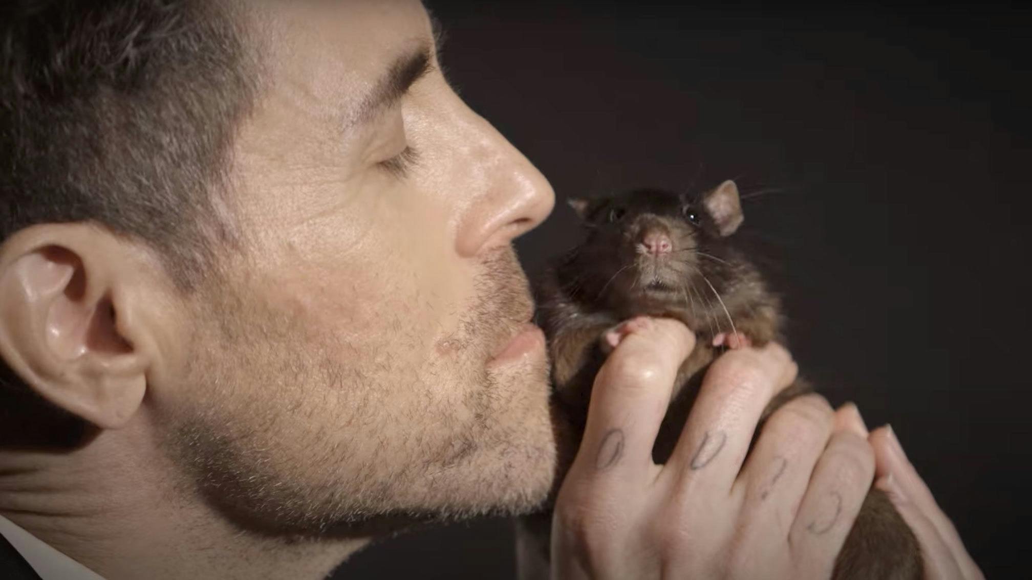 Watch: AFI’s Davey Havok speaks out against animal testing and speciesism in new PETA ad