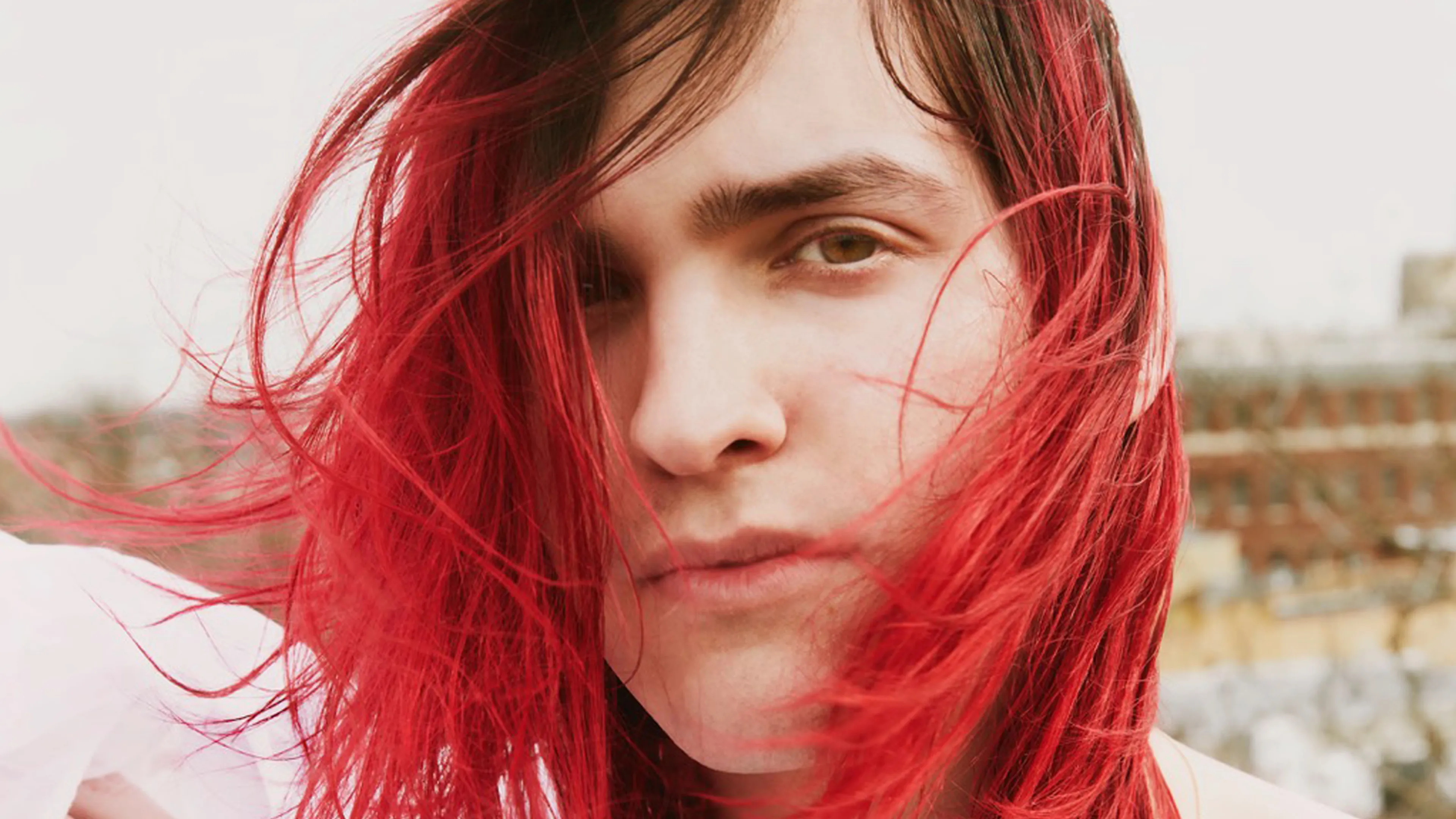 Dirt Buyer unveils moving new single, Gathering Logs