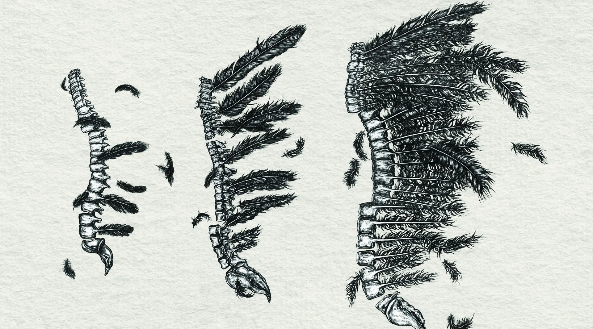 From Birdsong To Traffic The Unexpected Geography Of Sound - 5a4do96