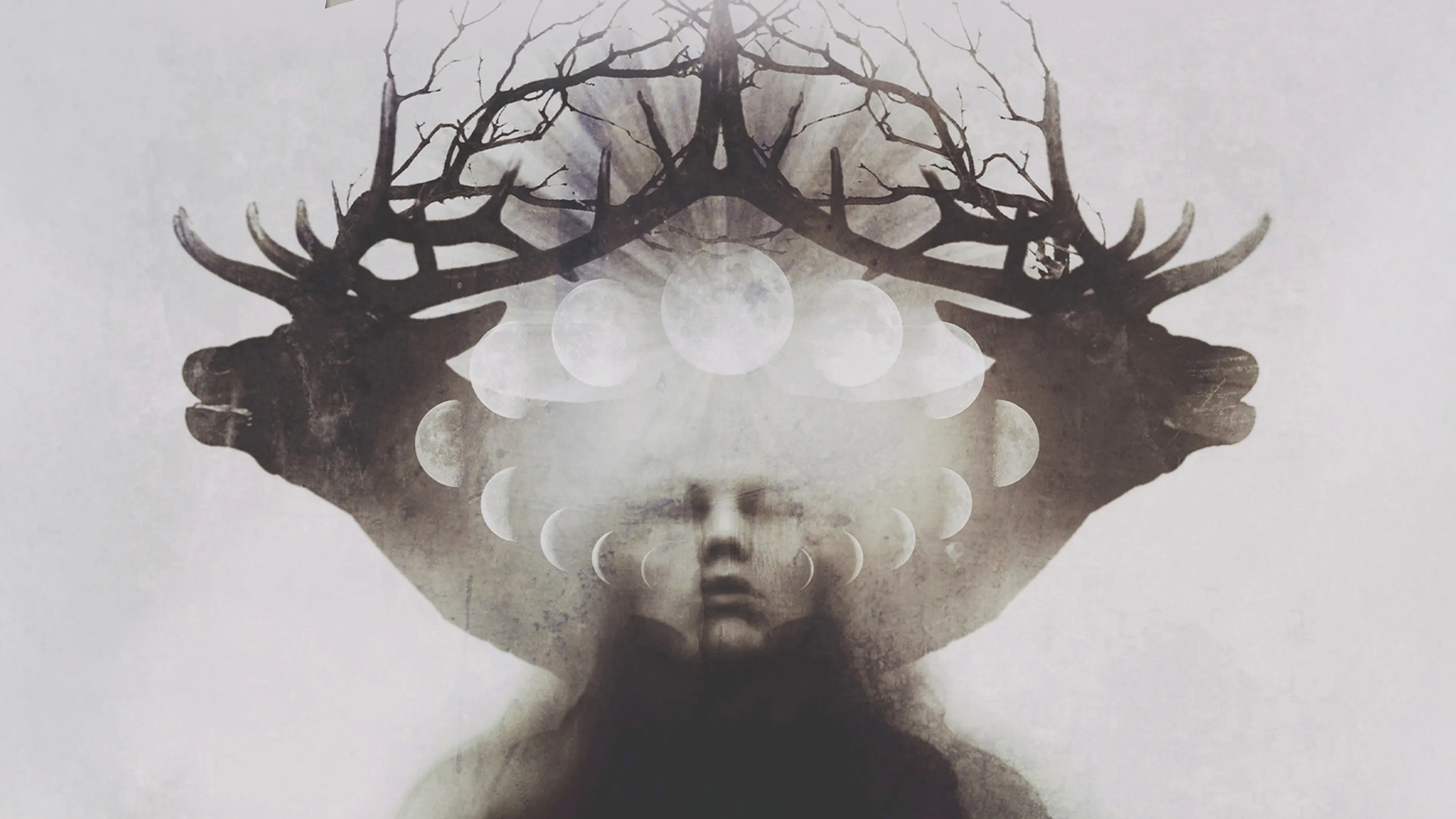 Album review: FAUN – Hex