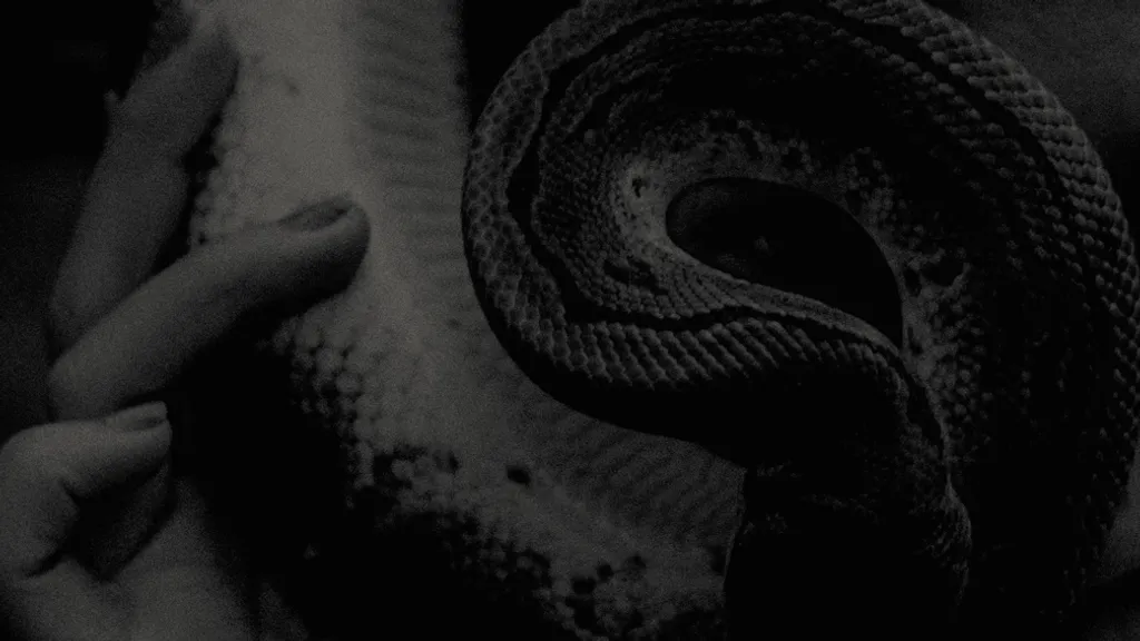 GODFLESH WEB SLEEVE 2023