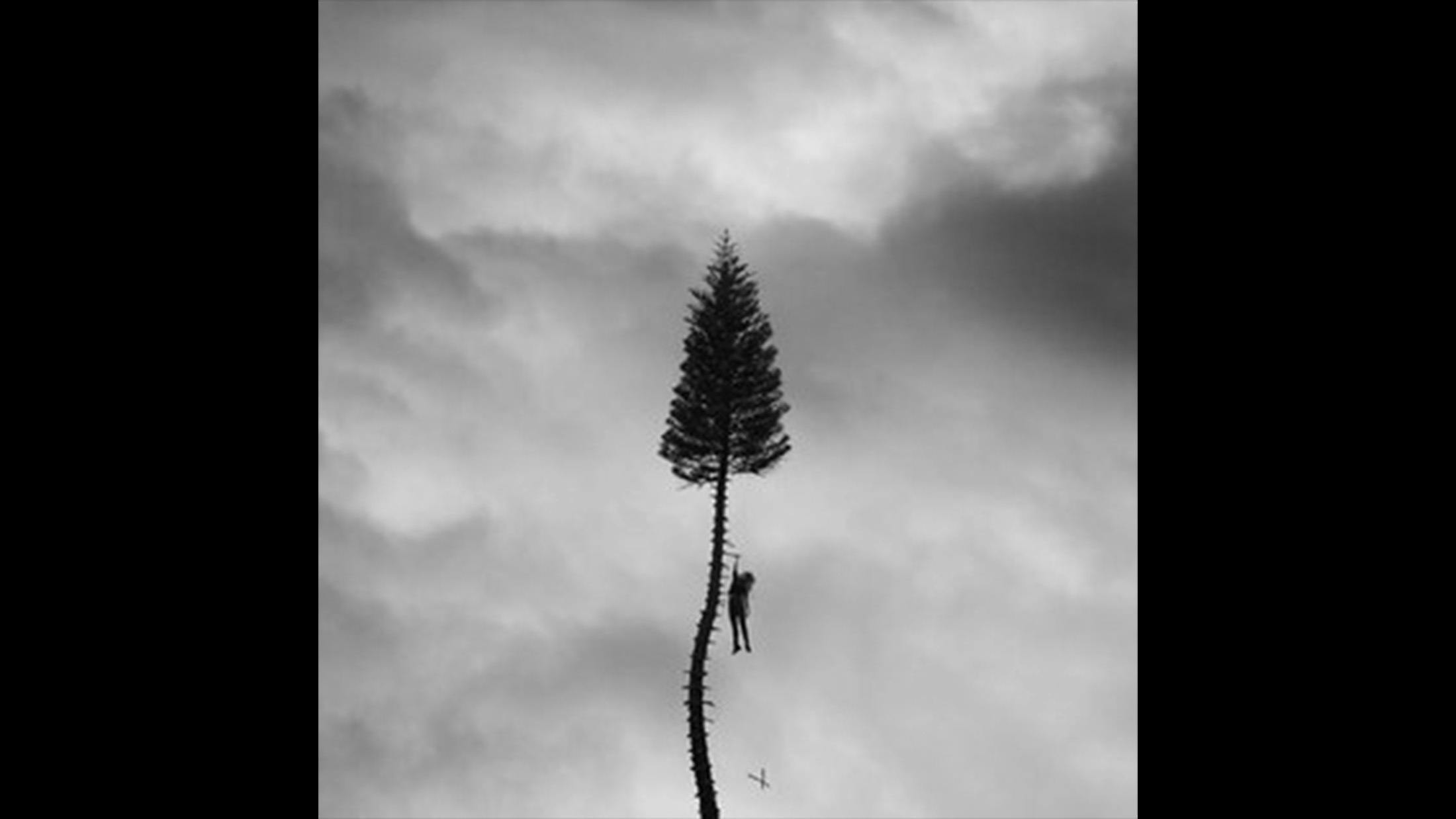 ‘This is temporary, I just heard I’m gonna be a dad,’ is a subtle line, but it’s the pivotal crisis in a record caught between God and neutrinos, birth and decay. Manchester Orchestra’s fifth LP proved not only their most expansive, painted in electronic textures and burnished acoustics, but also their most gracefully cathartic offering.