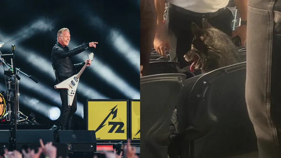This dog somehow ended up watching Metallica after… Kerrang!