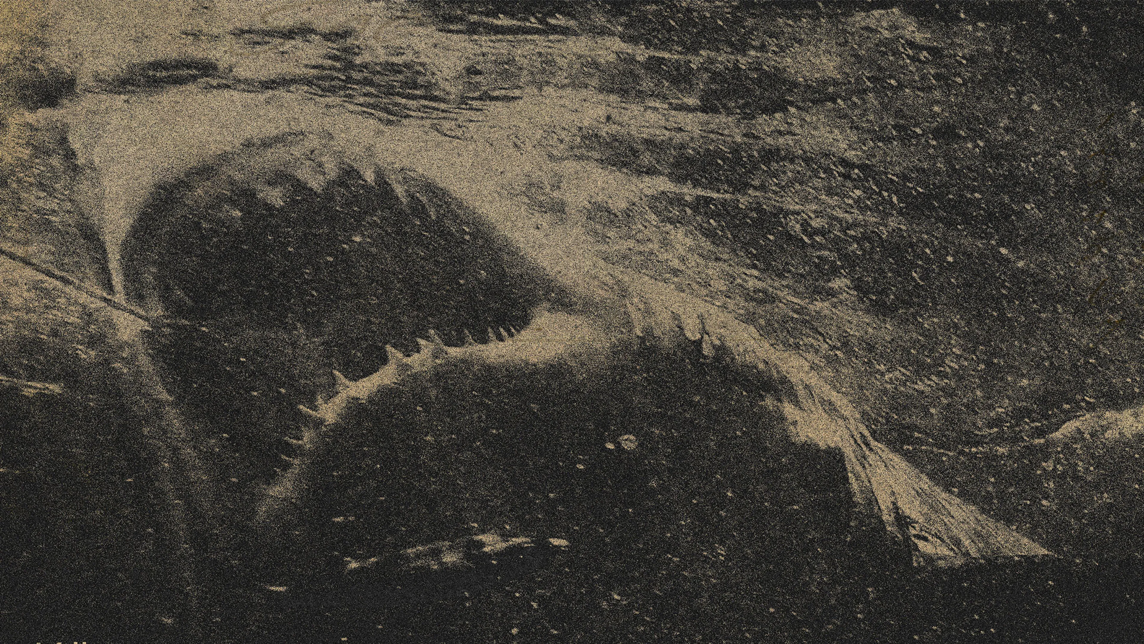 Album Review: O Zorn! – Your Killer