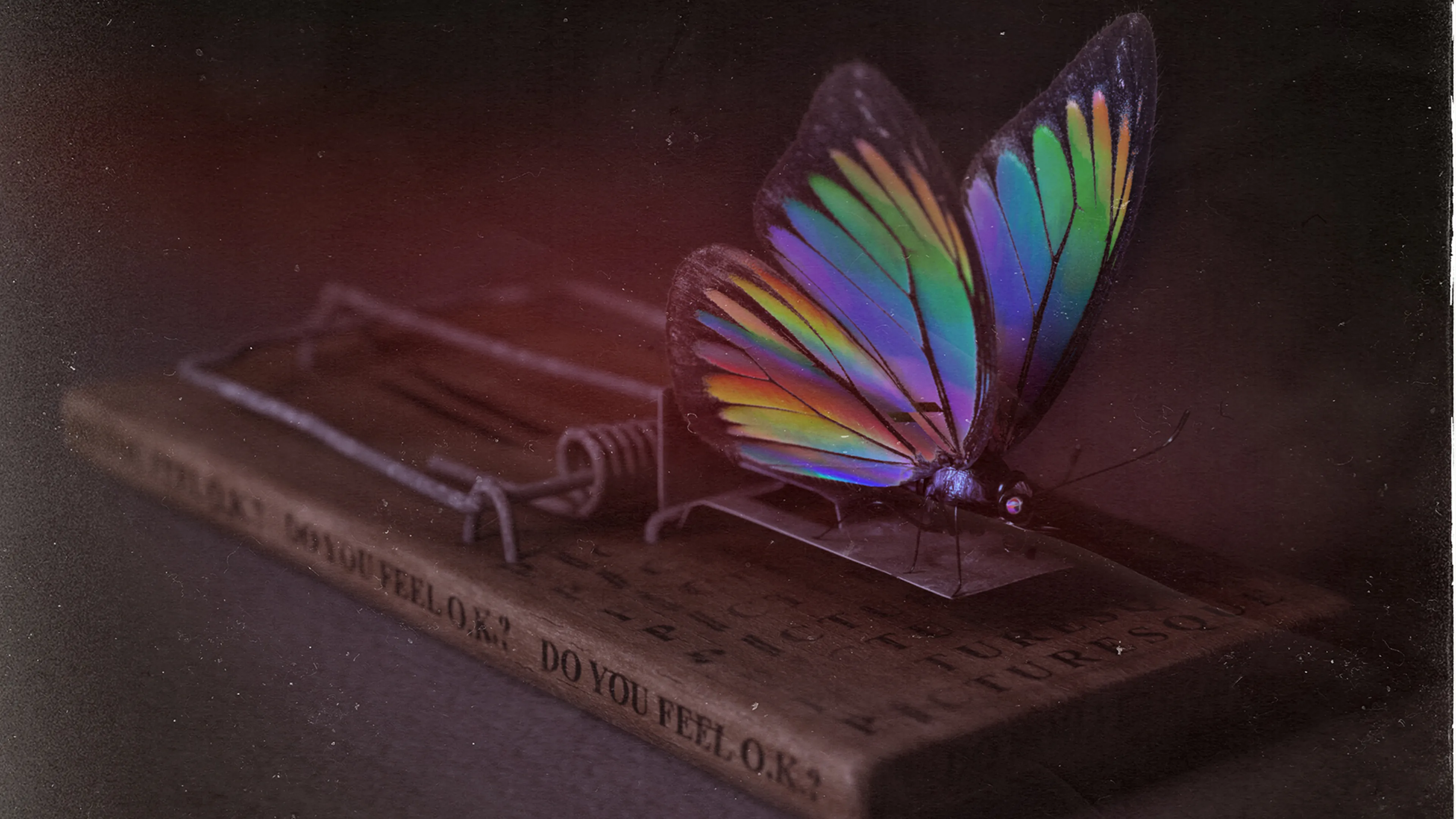 Album Review: Picturesque – Do You Feel OK?