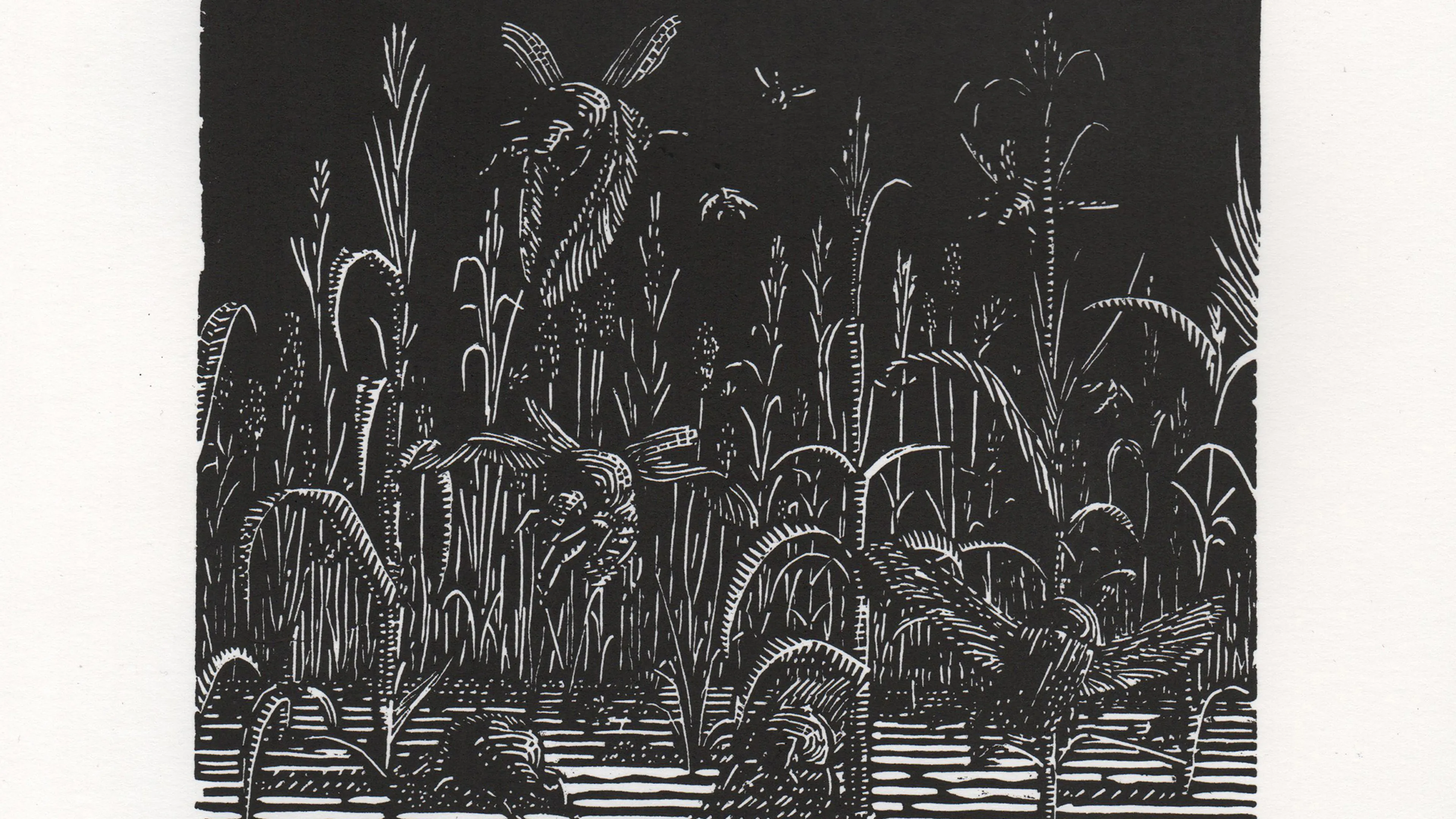 Album review: Stormo – Tagli/Talee