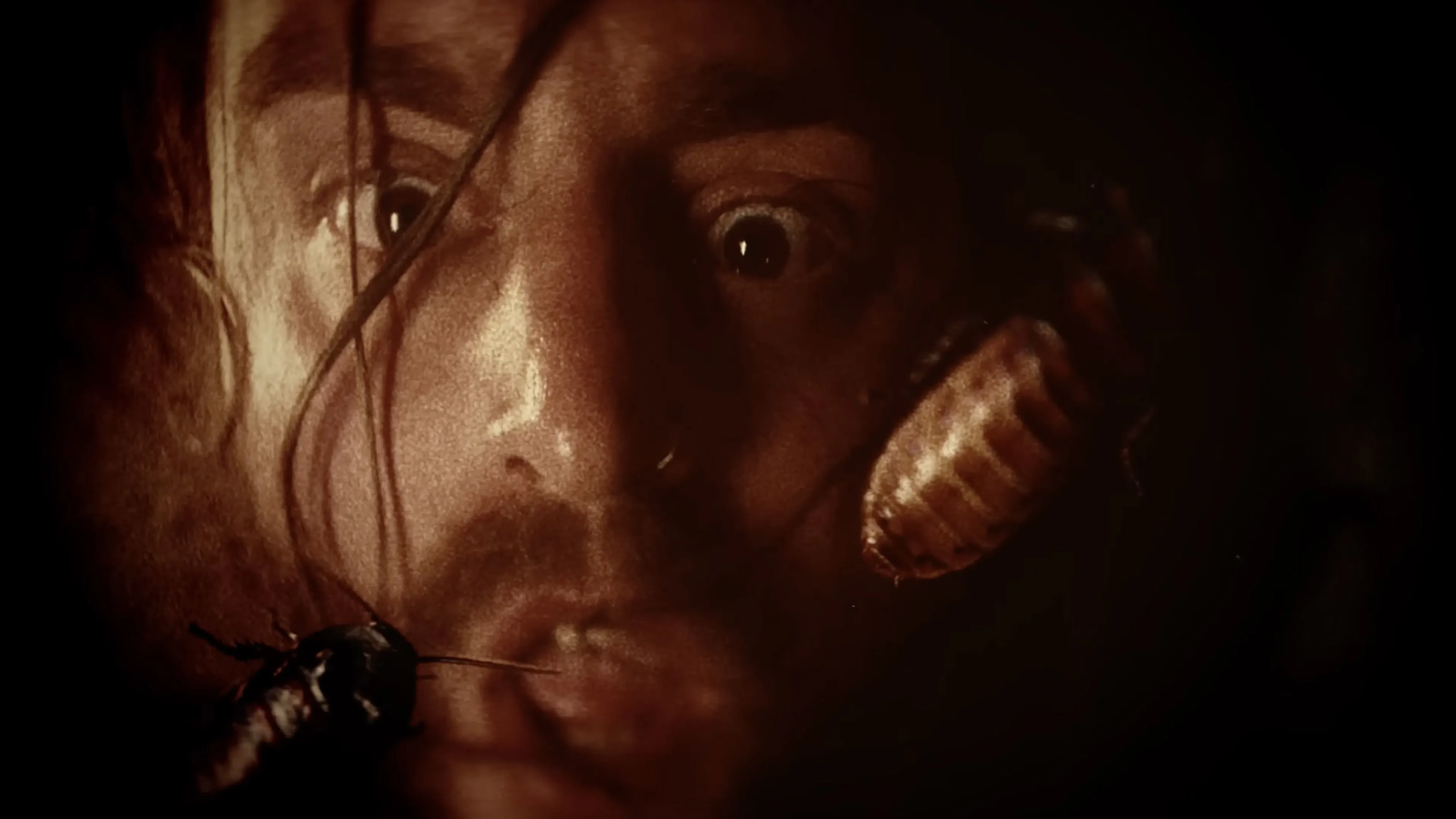 Sanguisugabogg release gnarly single and video, Repulsive Demise