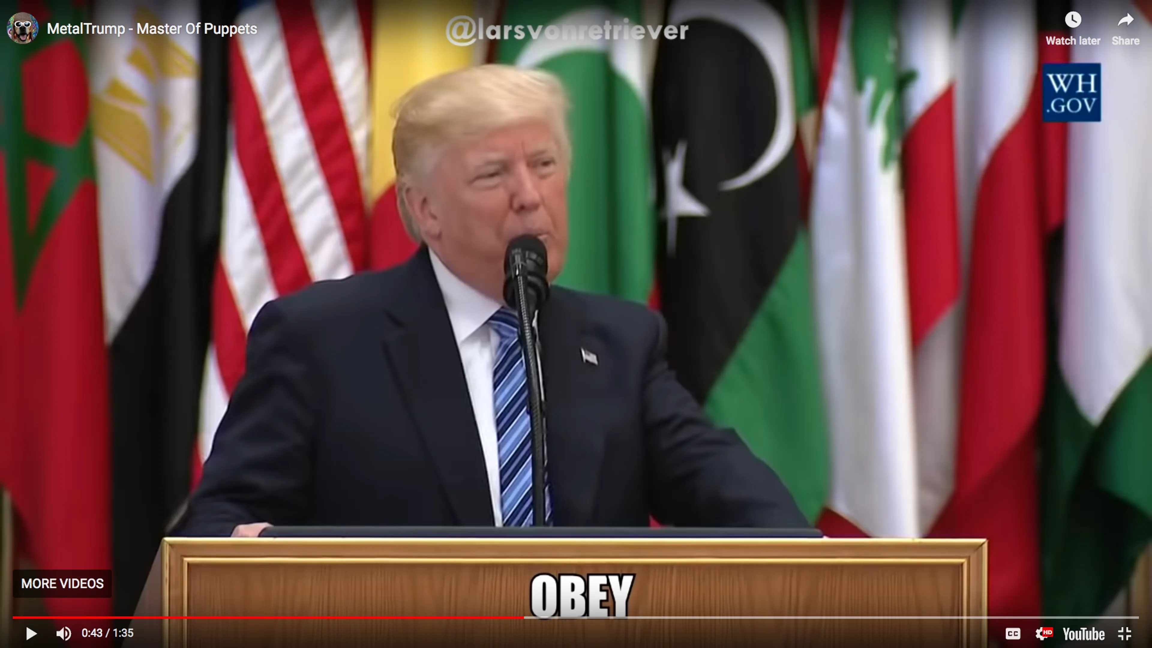 7 Things You Need To See Right Now