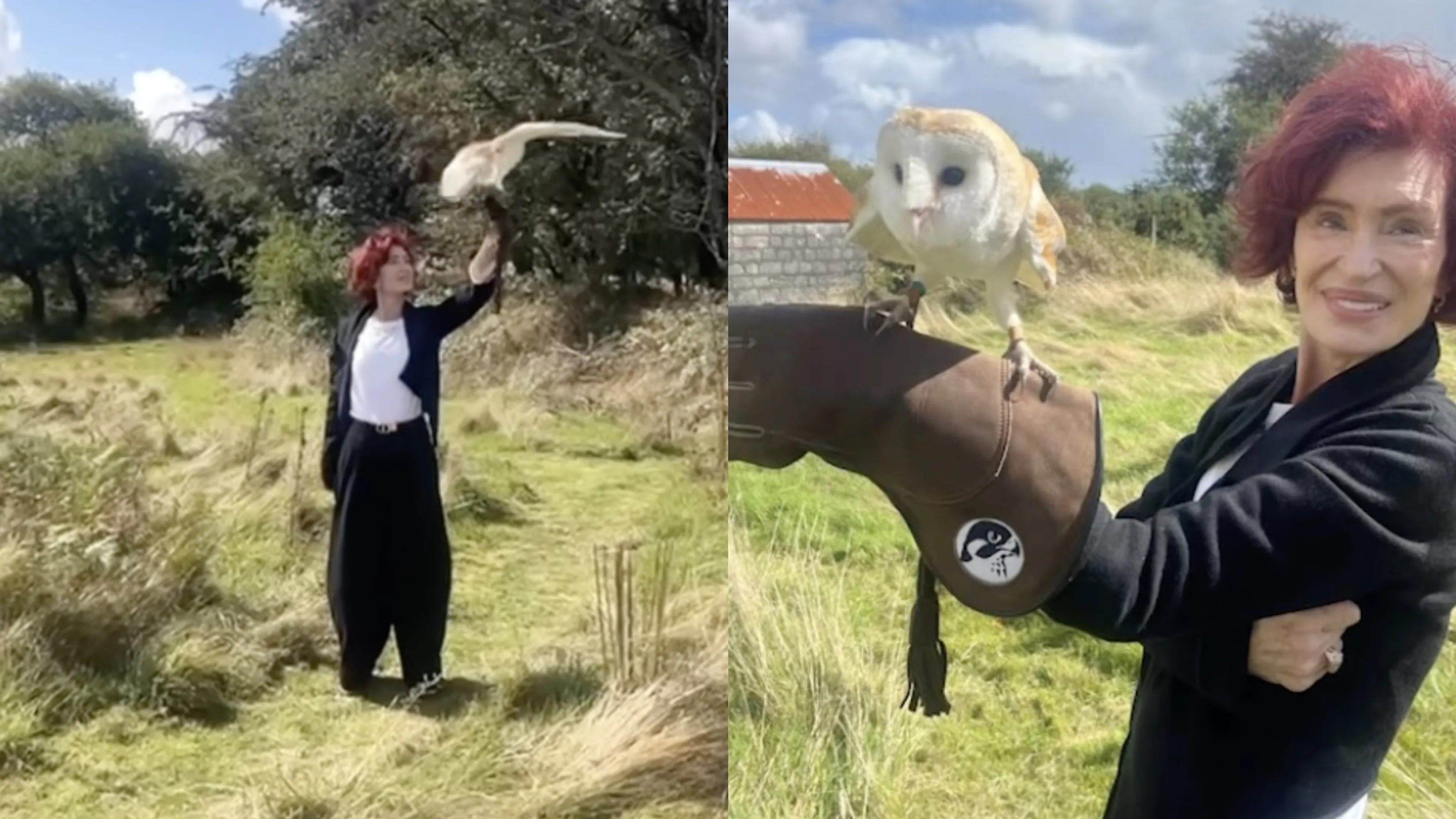 Sharon Osbourne thanks fans for “overwhelming love and support” in first Instagram post since Ozzy’s passing