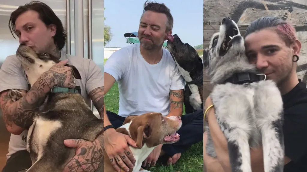 Touche Amore Reminders Video