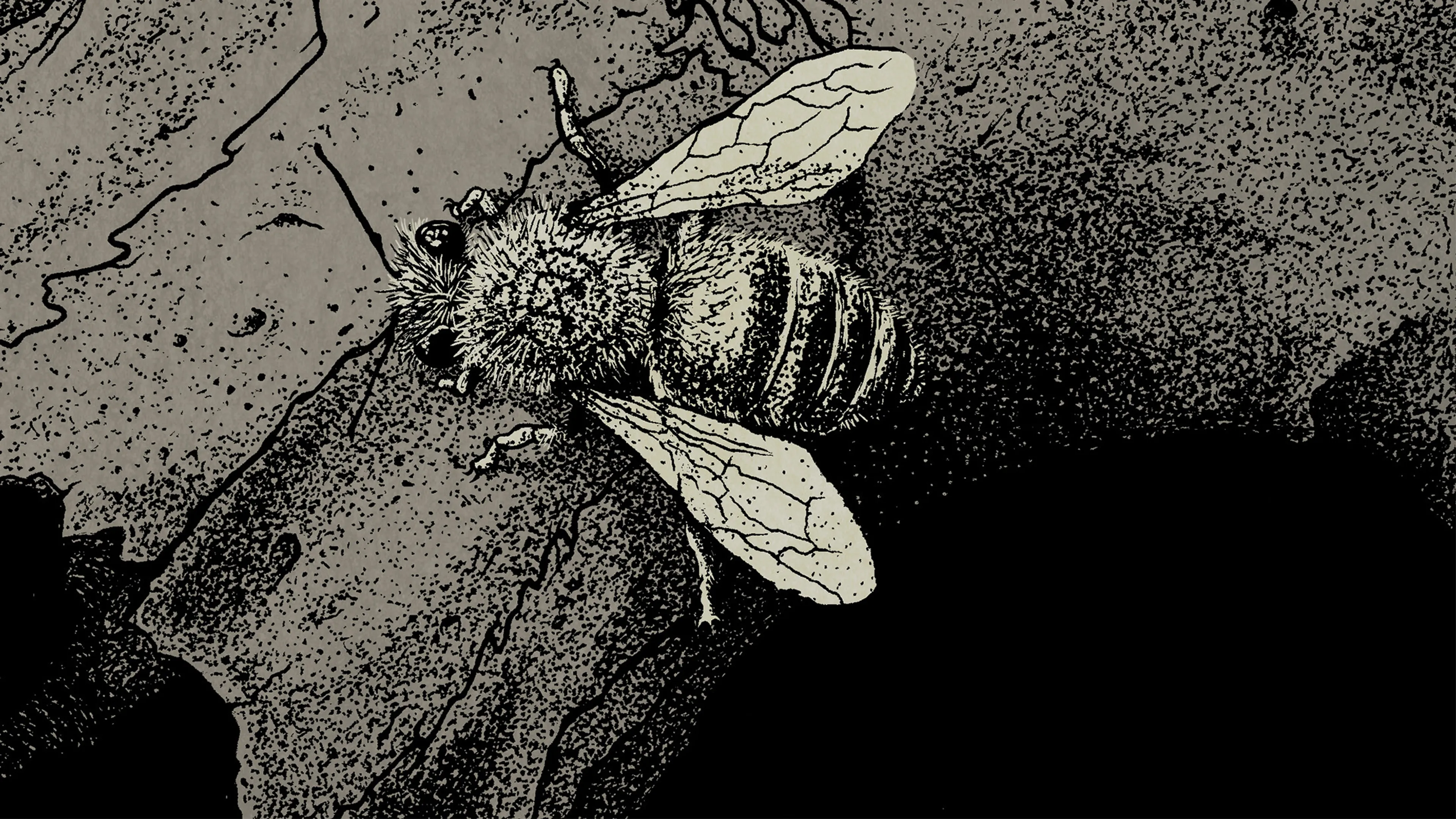 Album Review: WVRM – Colony Collapse