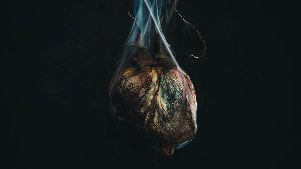 Album Review: Trivium – What The Dead Men Say