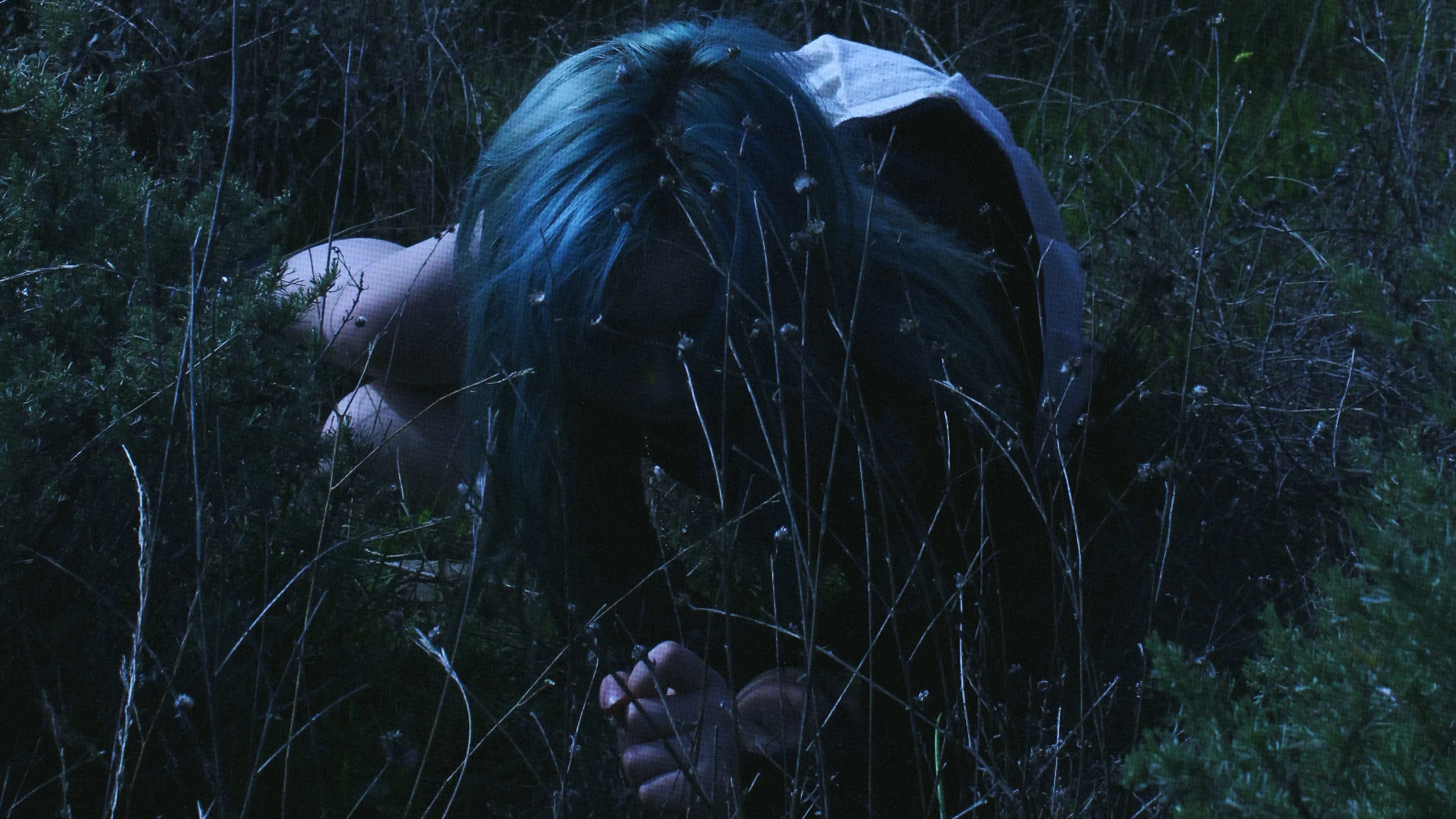Wisp streams new single Enough For You, announces debut EP Pandora
