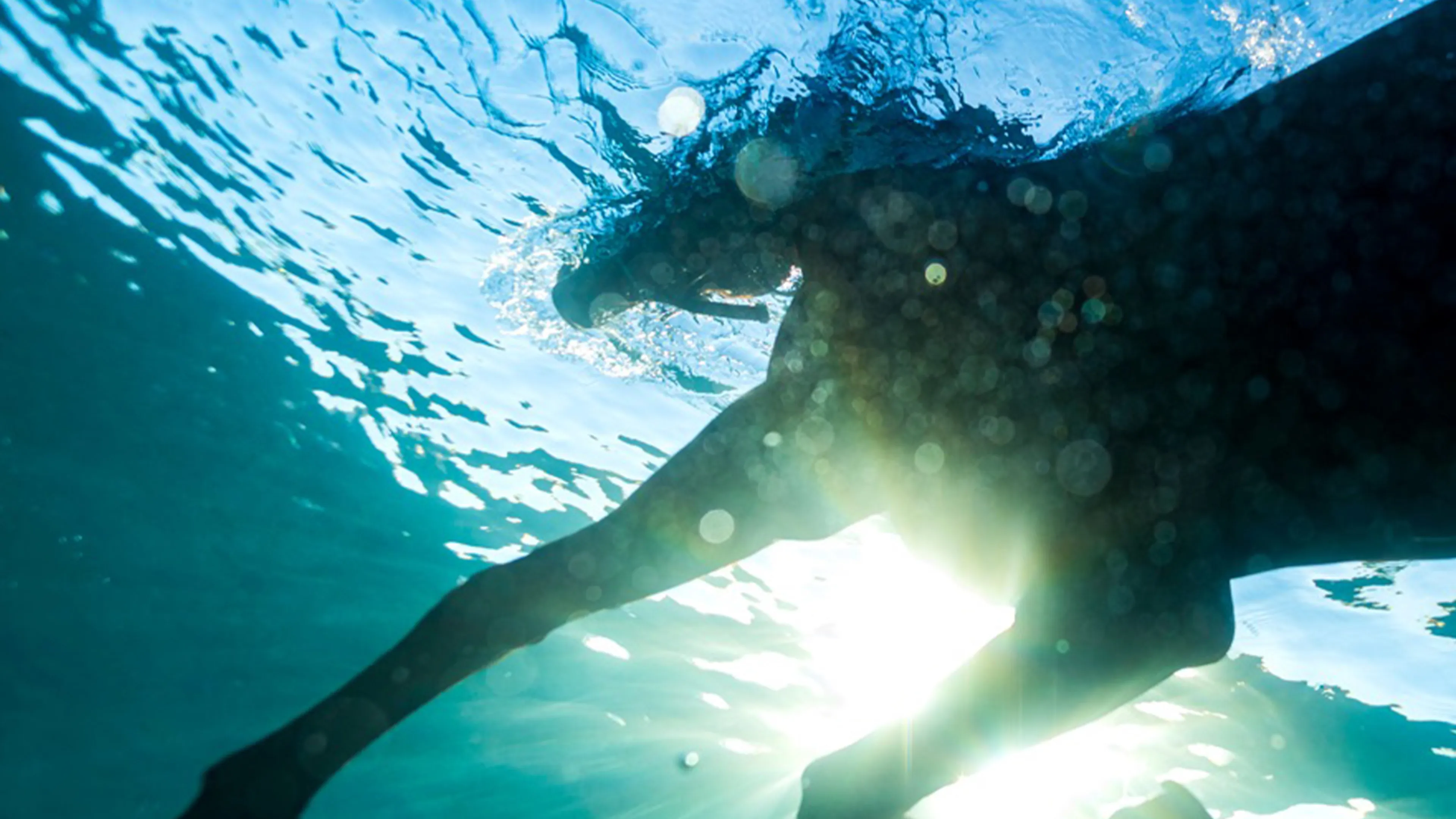 Album review: Dream Nails – You Wish