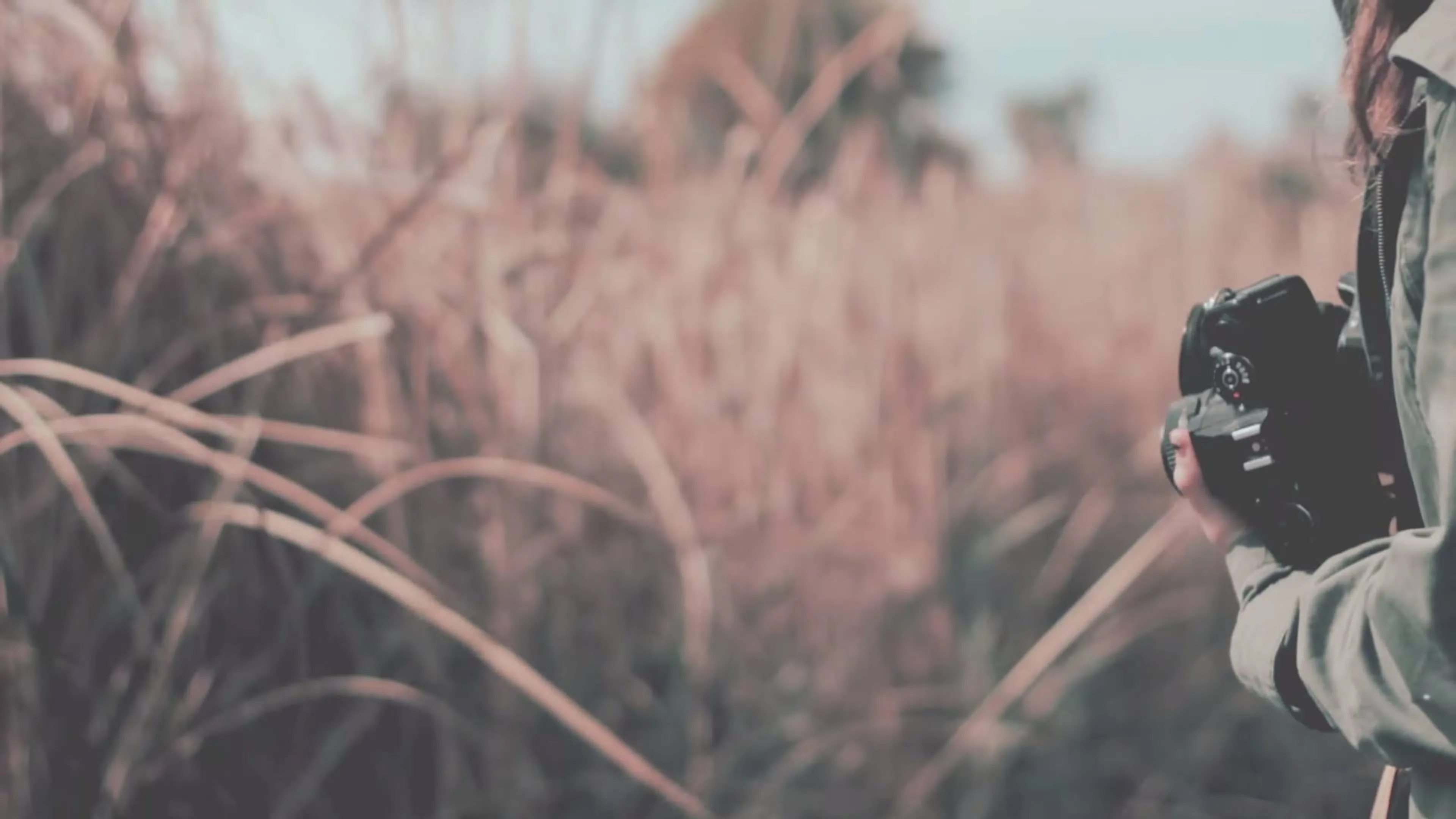 Listen To Classical-Flavoured Music By Chester Bennington’s Son, Jaime