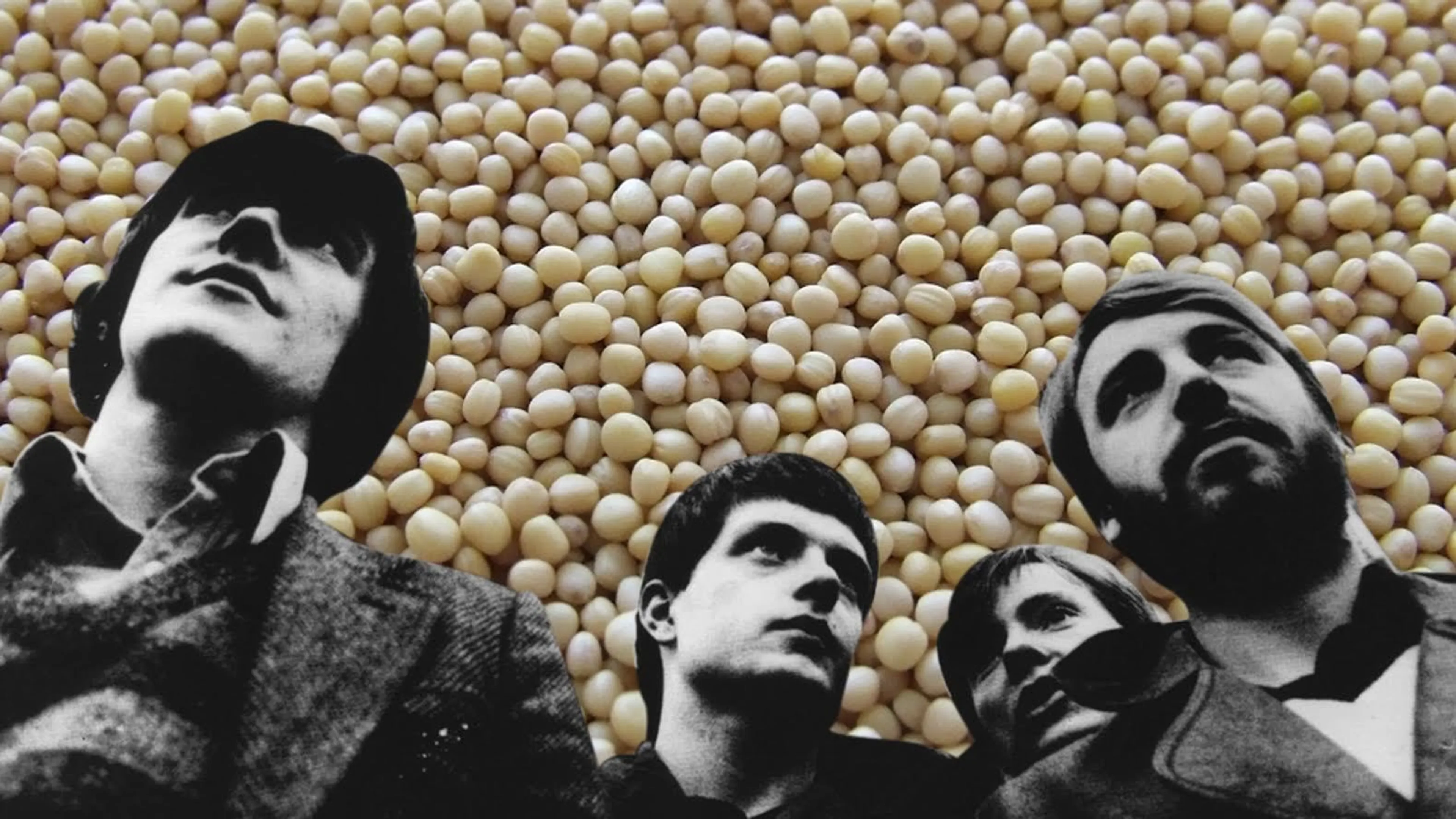 Soy Division, LinkedIn Park, Tofu Fighters And Other Ways To #MakeABandLessInteresting